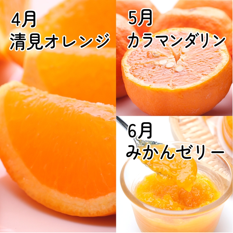 【定期便】家庭用 柑橘定期便 M 3回（4～6月）※北海道・沖縄・離島への配送不可※4月・5月・6月に発送
