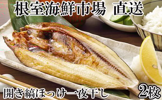G-28055【年内配送可】 根室海鮮市場＜直送＞開き縞ほっけ一夜干し2枚