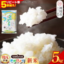 【ふるさと納税】【令和6年産 新米】さがびより 精米 5kg【特A受賞米 米 5kg お米 コメ こめ 国産 美味しい ブランド米 人気 ランキング】(H015184)