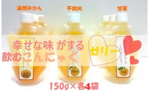 【ふるさと納税】O39x1 幸せな味がする飲むこんにゃくゼリー　12個セット