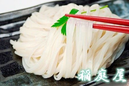 稲庭屋いなにわうどん 450g×1袋 めんつゆ付 手さげタイプ ふるさと納税 秋田県 稲庭うどん めんつゆ ギフト【（有）稲庭屋】[J0601]