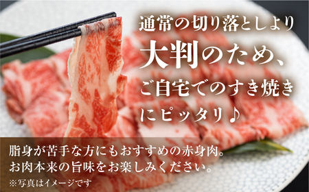 訳あり 飛騨牛 すき焼き用 切落し 300g 切り落とし すき焼き 赤身 肉 牛肉 お肉 和牛 冷凍 岐阜県 部位お任せ 形 不揃い 国産 ブランド牛 10000円 [S542]