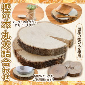 樫の木 丸太詰め合わせ(大1点・小2点) 木 樫 かし 丸太 鍋敷き 【ksg1432】【宮崎木材店】