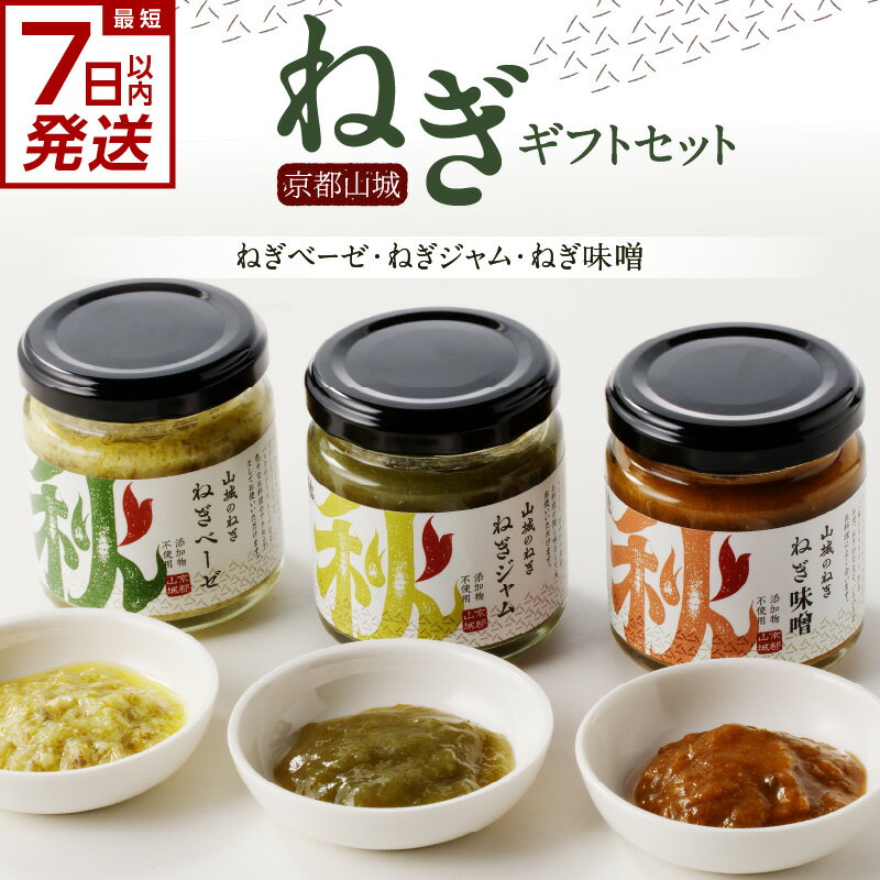 【ふるさと納税】《レビューキャンペーン》スピード発送あり！！ 京都山城 のねぎ ギフトセット [ ねぎベーゼ , ねぎ味噌 , ねぎジャム ] 九条ねぎ 京野菜 調味料 薬味 手軽 詰め合わせ 100g×3個 秋田農園
