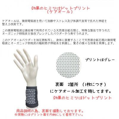 ふるさと納税 豊中市 着けるだけ　つまづき・転倒対策　らくらく　ケアオール(R)　リストバンド　Lサイズ　2枚入 |  | 01