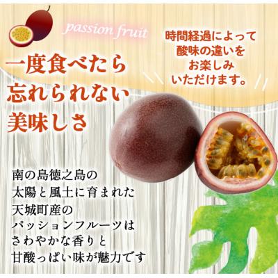 ふるさと納税 天城町 【2026年発送】先行受付 徳之島 天城町産 パッションフルーツ ご家庭用 3kg トロピカル |  | 01