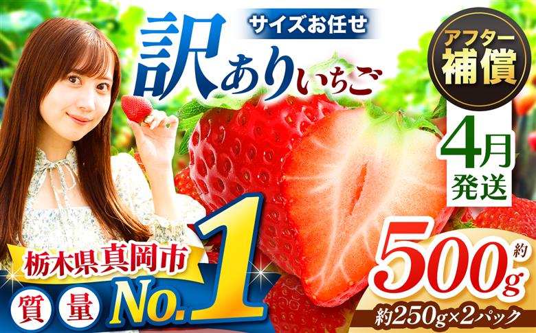 【先行予約】【4月発送】訳あり とちあいか サイズ お任せ 約500g （250g×2パック） | 4月 デザート 果物 フルーツ 苺 イチゴ 2027年分 栃木県 真岡市 送料無料 【4月発送】訳あ
