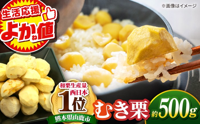 
                  ＼生活応援よか値キャンペーン／むき栗 約500ｇ（約250g×2pc） 【すみれファーム】 栗 くり むきぐり 熊本県 九州産 国産 [ZEP059-CP]
                