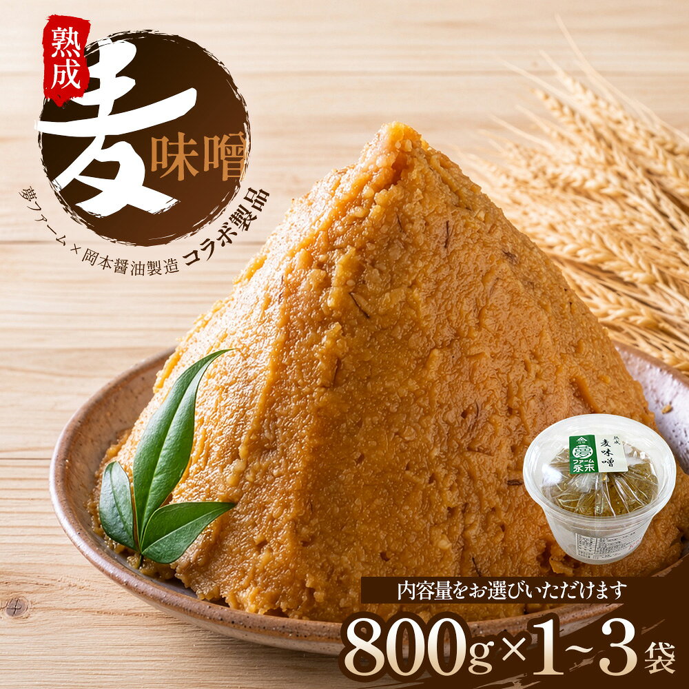 【ふるさと納税】 内容量を選べる 熟成味噌 800g × 1パック 2パック 3パック | 熟成みそ 麦みそ 味噌 ミソ 麦味噌 調味料 | 800g 1.6kg 2.4kg