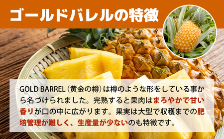 【2024年5月～7月（全3回発送）】南国の美味しさを！パイナップル 定期便 B