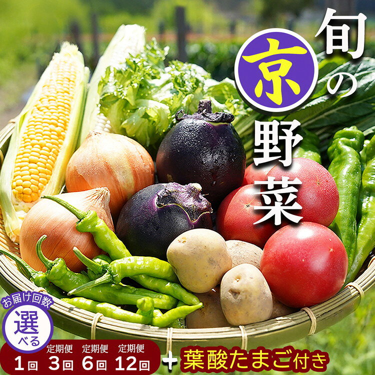 【ふるさと納税】旬の京野菜 定期便［選べる レギュラーコース・スペシャルコース】 1回・3回・6回・12回 京都ハバネロの里｜野菜 定期便 6ヶ月 12ヶ月 京都 京野菜セット 詰め合わせ ふるさと納税 野菜 ふるさと納税定期便 送料無料 ※沖縄・離島・諸島へのお届け不可