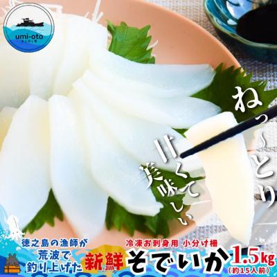 ふるさと納税 徳之島町 徳之島の漁師が荒波で釣り上げたそでいか 冷凍お刺身用小分け柵 1.5kg(約15人前)