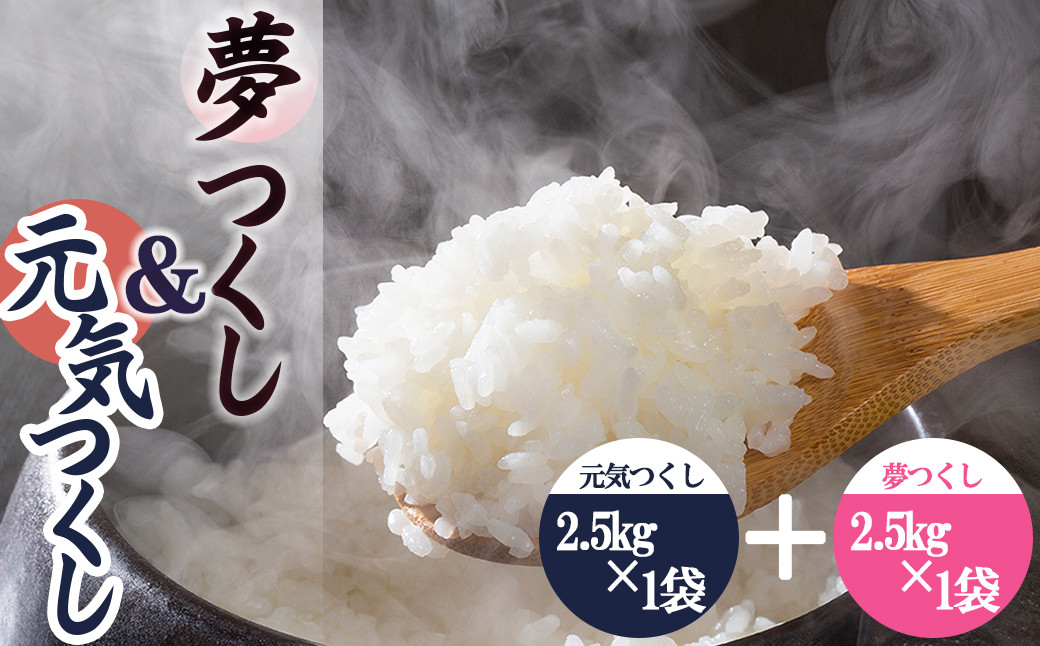 
            果物屋さんが選んだ米食べ比べ「夢つくし&元気つくし」2.5kg×2袋 4A26
          