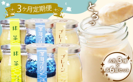 【3回定期便】 プリン3種 各6個セット 深海プリン・沼津プリン・抹茶プリン 贈答用 プレゼント プリン 母の日 父の日