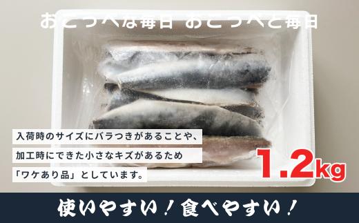 特大 ”生冷” 春にしんフィレ1.2kg