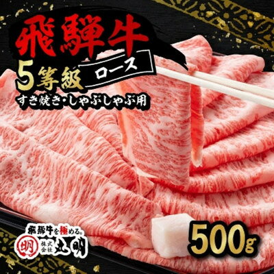 【ふるさと納税】飛騨牛5等級ロース・すき焼きしゃぶしゃぶ用 500g【配送不可地域：離島】【1712836】