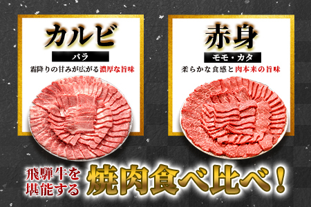 【最短発送】 贅沢！ 飛騨牛 焼肉セット 1.2kg 6人前 牛肉 和牛 肉 焼肉 BBQ 霜降り カルビ 赤身 モモ カタ 東白川村 岐阜 養老ミート
