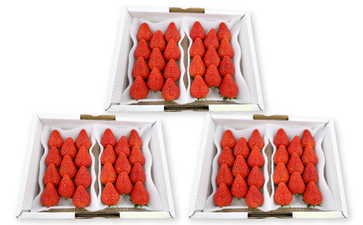 紅ほっぺセット(6パック)【配送不可地域：離島・北海道・沖縄県・四国・九州】