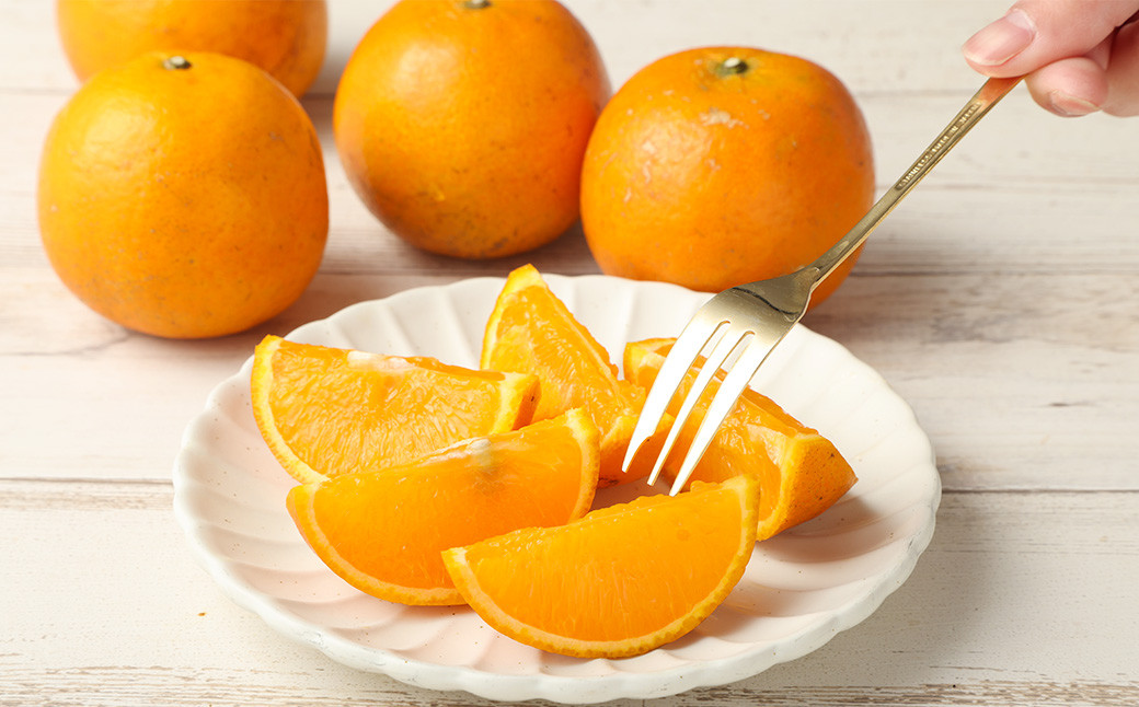 林果樹園 徳之島産 タンカン【ご家庭用】混合サイズ 5kg 