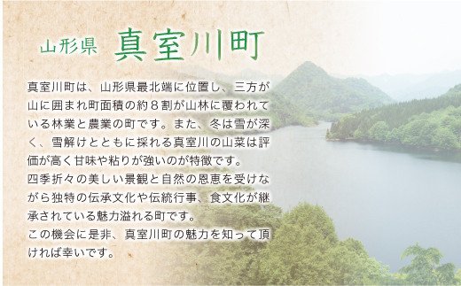 ＜令和7年産＞ はえぬき 【白米】 5kg （5kg×1袋）＜配送時期選べます＞　真室川町