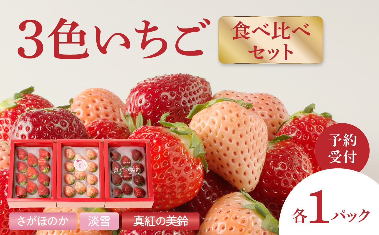 
            ★予約受付★杉山いちご農園 豪華！3色いちご食べ比べセット　2026年1月～5月中に順次配送 ／ さがほのか 白いちご 淡雪 あわゆき 黒いちご 真紅の美鈴 希少 フルーツ 食べ比べ
          
