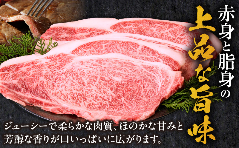 宮崎牛サーロインステーキ3枚 合計600g サーロイン 旨味 ブランド