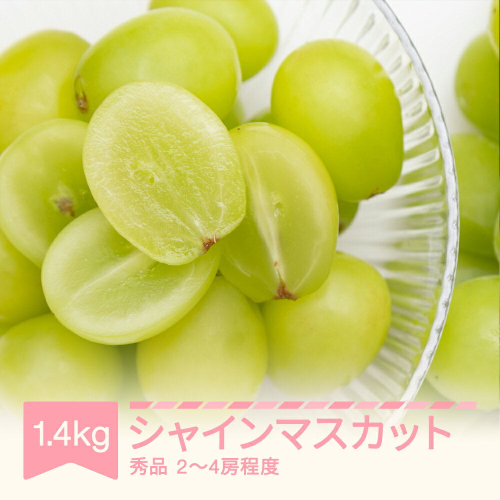 【ふるさと納税】 先行予約 2025年産 シャインマスカット 秀品 約1.4kg (2~4房程度) 山形県産 フルーツ 果物 くだもの ぶどう 葡萄 ブドウ sb-busmx1400 ※沖縄・離島への配送不可