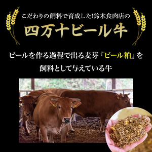 【数量限定】国産の牛肉と豚肉をミンチした合挽肉 4kg（500g×8パック）Asz-46 国産 牛肉 豚肉 ミンチ 合挽肉 合いびき肉 冷凍 ハンバーグ 四万十ビール牛 四万十ポーク ミンチ ひき肉 