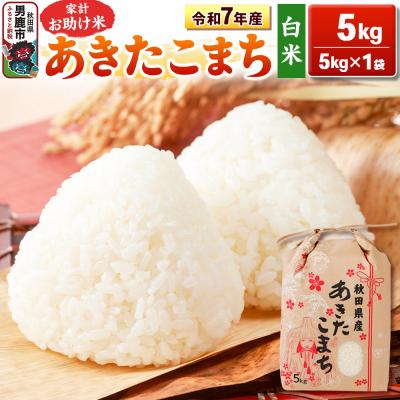 ふるさと納税 男鹿市 令和7年産 【白米】家計お助け米 あきたこまち 5kg|23_kml-010501