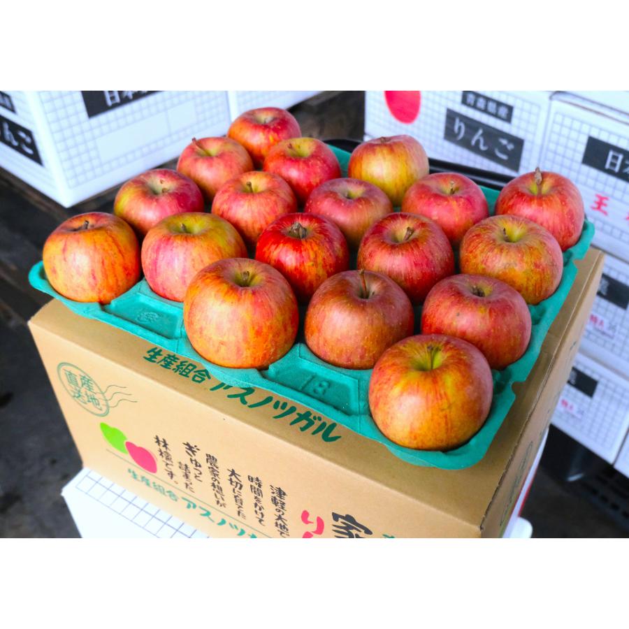 サンふじ家庭用5kg/平均糖度13度以上【もったいない！を食べよう】3月発送