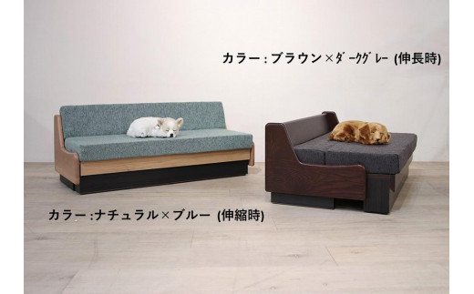 
                  ドロシーペット【2色対応】
                