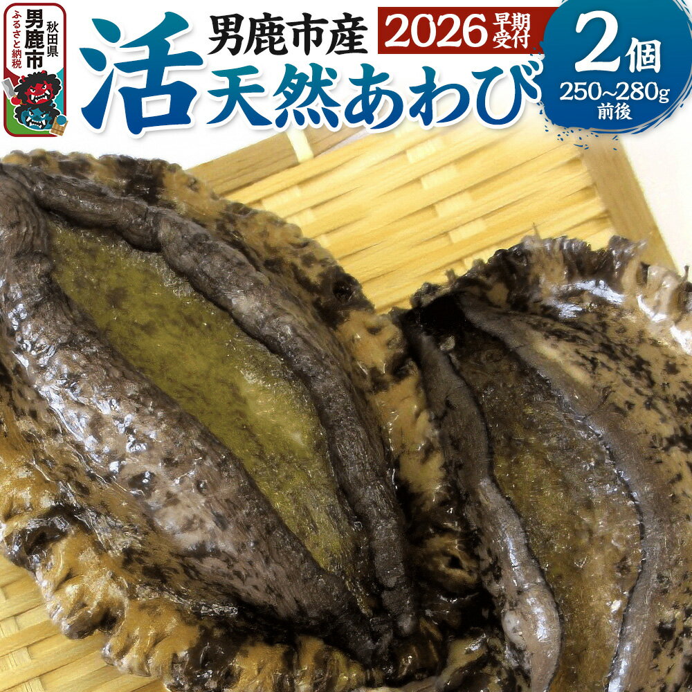 【ふるさと納税】《2026年7月中旬〜8月下旬発送》男鹿産天然鮑 1〜3個 (約450〜500g) あわび アワビ 秋田 男鹿産