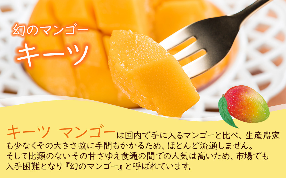 超希少なマンゴー【キーツ】 約1kg 和歌山市（2024年9～10月発送分）