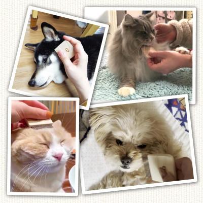 ふるさと納税 氷見市 つるかめ印のわんにゃんフェイスコーム |  | 03