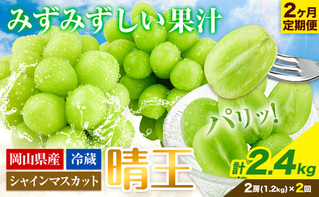 シャインマスカット 2ヶ月 定期便【先行予約】シャインマスカット 晴王 約1.2kg 岡山県産《9月上旬-10月末頃出荷(土日祝除く)》 ハレノフルーツ マスカット 送料無料 岡山県 浅口市 フルーツ 果物 贈り物 ギフト 国産 岡山県産【配送不可地域あり】（北海道・沖縄・離島）