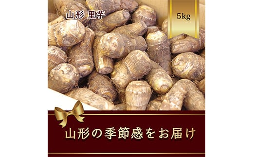 山形県産 里芋 5kg【2025年9月から発送】  根菜 野菜 食品 山形県 FSY-2418