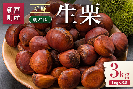 ＜2026出荷!!＞国産 新鮮朝どれ（生栗）3kg お取り寄せ 産地直送 宝珠栗 数量限定 宮崎県新富町産【B670-26】