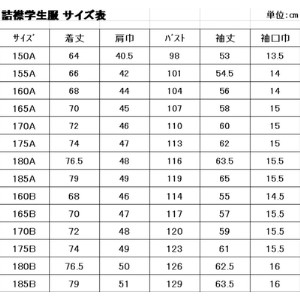 標準型学生服 学ラン ラウンドカラー 日本被服株式会社（ 上着 詰襟 服 男性 メンズ ファッション 岡山県 倉敷産 返礼品 ） 160A サイズ