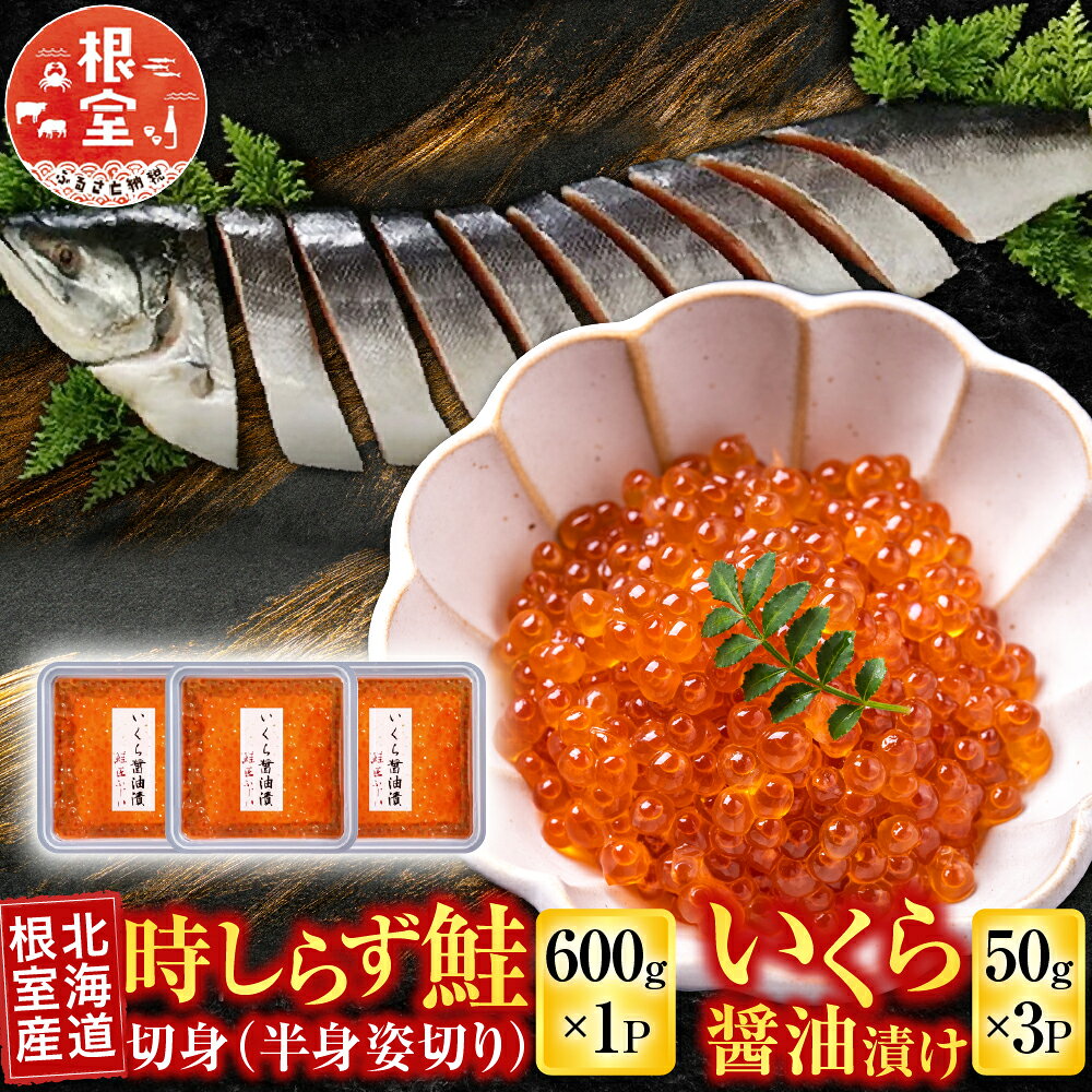 【ふるさと納税】 [北海道根室産] 時しらず鮭 600g × 1P ・いくら醤油漬け 50g × 3P 鮭 さけ サケ しゃけ シャケ 魚 さかな サカナ 沖どれザケ 沖どれざけ 春ザケ 春ざけ 春鮭 時不知 時鮭 ときしらず イクラ 醤油 魚卵 鮭卵 C-42094
