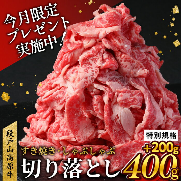 【ふるさと納税】特別規格★国産ブランド牛 牛肉 切り落とし 600g (200g×3） 小分け 段戸山高原牛 幻 牛 国産 牛肉 牛 スライス 小分け 大満足 赤身 肉 数量限定 肉 国産牛 ブランド牛 5000円 -070