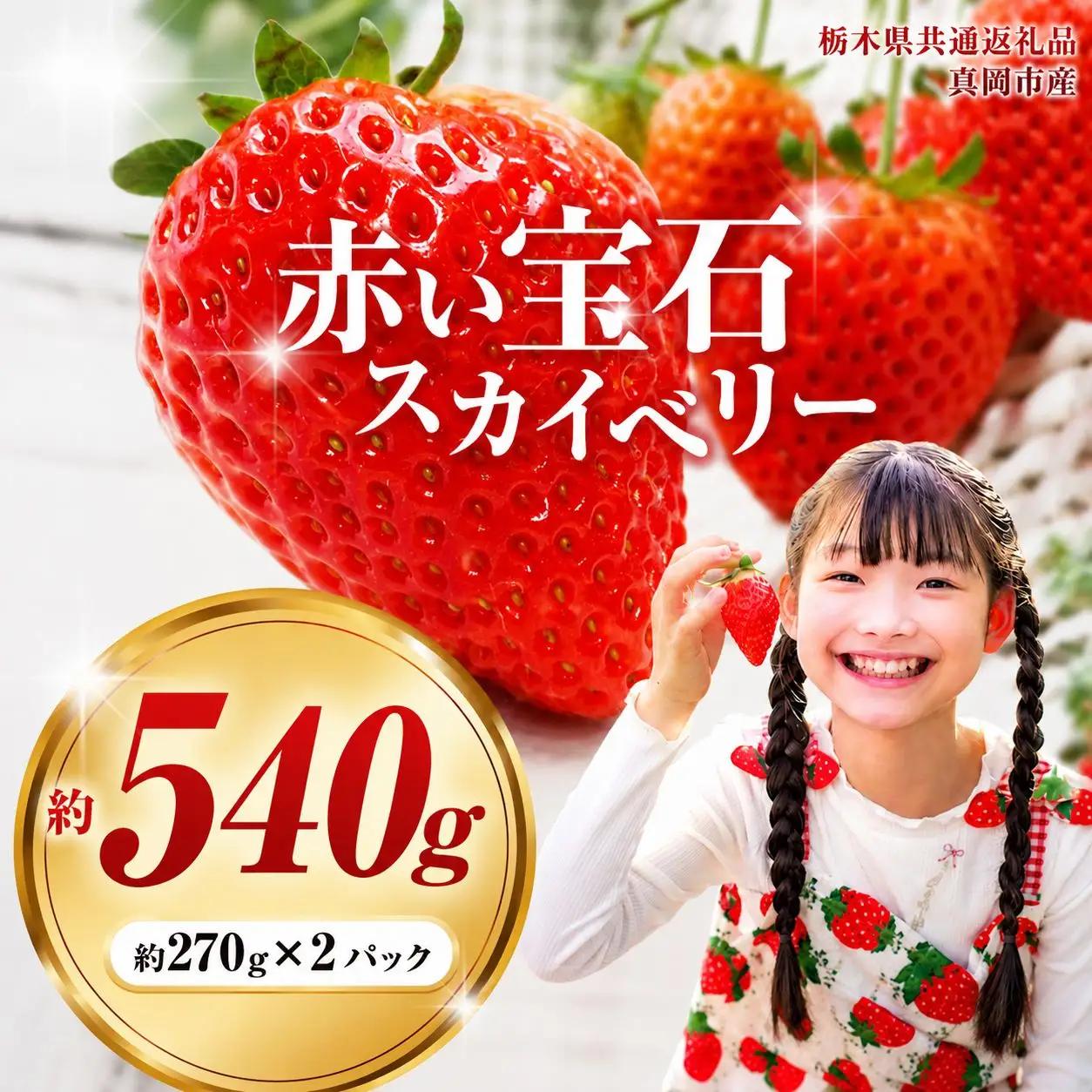 【先行予約】赤い宝石「スカイベリー」約270g×2パック【栃木県共通返礼品】