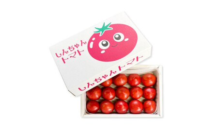 【先行予約】完熟トマト しんちゃんトマト 糖度7.0?8.9度 約750g 高知県土佐市 【横山真吾】 [BQCG002]