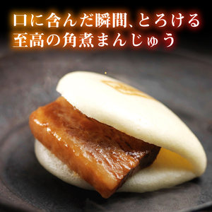【全6回定期便】大とろ 角煮まんじゅう 10個(1箱)【 岩崎本舗 】《 対馬市 》冷凍 角煮 角煮まん 個包装 豚まん[WBC024]