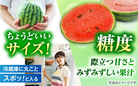 【先行予約】【数量限定】小玉すいか 2玉入（1玉 約3kg） 　【一般社団法人クラッシーノこうし】[AYAB056]