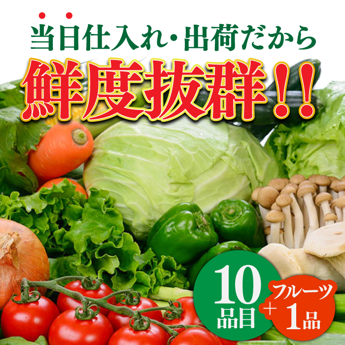 長崎ちゃんぽん 8人前 野菜 10品目 果物1品目 セット / 生麺 ちゃんぽん 具入り 南島原市 / 贅沢宝庫 [SDZ001]_イメージ5