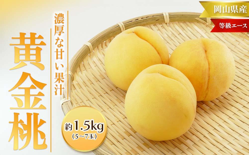 桃 2025年  黄金桃 等級 エース 約1.5kg 5～7玉入り もも モモ 岡山 国産 フルーツ 果物 桃茂実苑