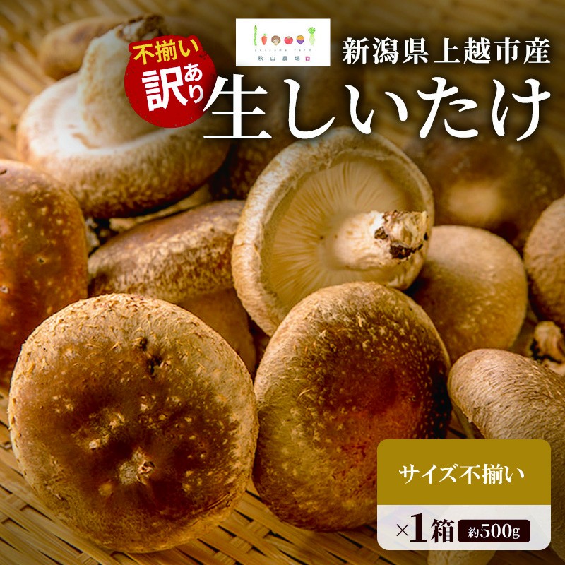 
                  不揃い 訳あり 新潟県上越市産 生しいたけ 椎茸 約500g×1箱 秋山農場グリーンプロジェクト
                