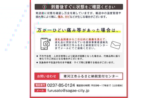《先行予約》【りんご】「サンふじ」5kg 秀品 （16 - 20玉）山形産 秀品 山形産 【2025年12月上旬頃から2026年1月中旬頃発送予定】　018-B-MM028 5kg （16 - 20玉