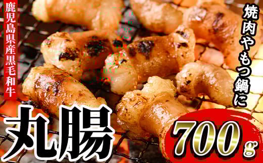 鹿児島県産 黒毛和牛 ホルモン 丸腸 700g 冷凍 国産 鹿児島県産 黒毛和牛  もつ鍋 焼肉 にも オススメ！【A-1557H】