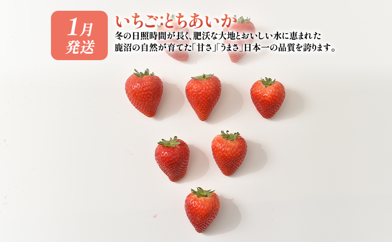 【 定期便 2回 】 大玉な梨 にっこり 2玉 約2kg と いちご市 鹿沼の 美味しい 「い」「ち」「ご」 とちあいか 15粒入り260g 2パック のフルーツ 定期便【発送予定】 10月 1月 梨